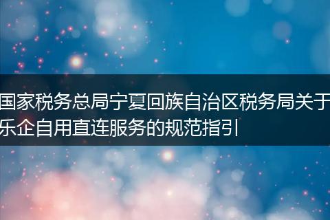 国家税务总局宁夏回族自治区税务局关于乐企自用直连服务的规范指引