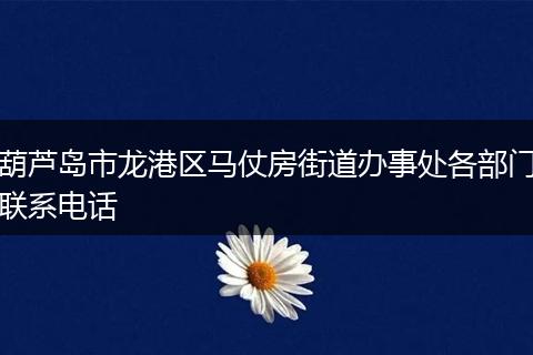 葫芦岛市龙港区马仗房街道办事处各部门联系电话