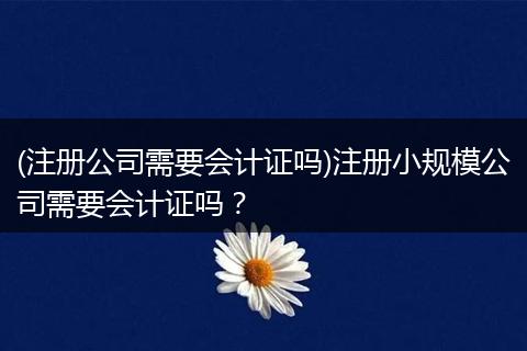 (注册公司需要会计证吗)注册小规模公司需要会计证吗?