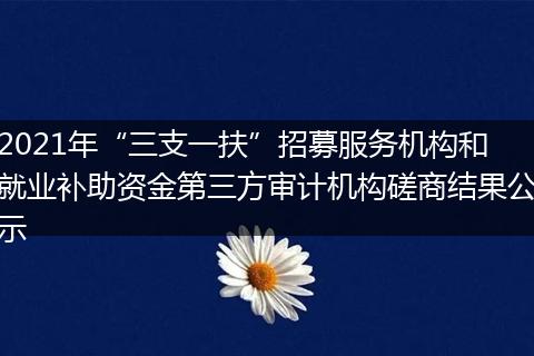 2021年“三支一扶”招募服务机构和就业补助资金第三方审计机构磋商结果公示