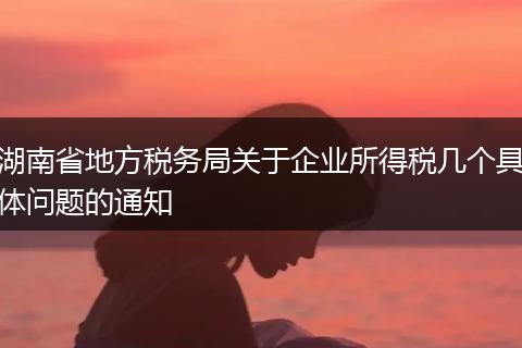 湖南省地方税务局关于企业所得税几个具体问题的通知