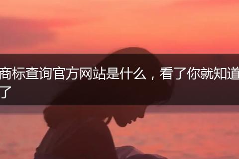 商标查询官方网站是什么，看了你就知道了