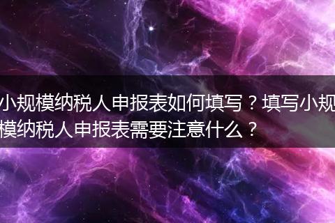 小规模纳税人申报表如何填写？填写小规模纳税人申报表需要注意什么？