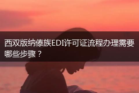 西双版纳傣族EDI许可证流程办理需要哪些步骤？