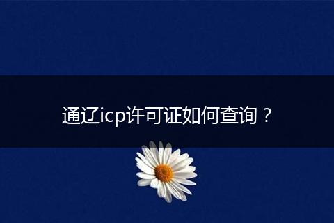 通辽icp许可证如何查询?