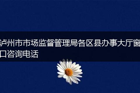 泸州市市场监督管理局各区县办事大厅窗口咨询电话