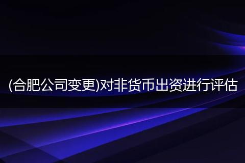 (合肥公司变更)对非货币出资进行评估