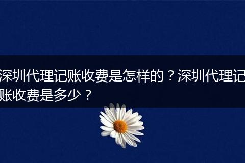 深圳代理记账收费是怎样的？深圳代理记账收费是多少？