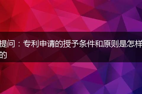 提问:专利申请的授予条件和原则是怎样的