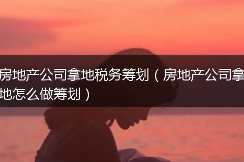 房地产公司拿地税务筹划(房地产公司拿地怎么做筹划)