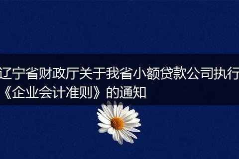 辽宁省财政厅关于我省小额贷款公司执行《企业会计准则》的通知