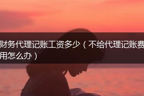 财务代理记账工资多少(不给代理记账费用怎么办)