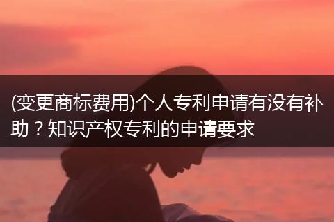 (变更商标费用)个人专利申请有没有补助?知识产权专利的申请要求