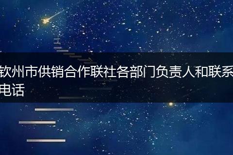 钦州市供销合作联社各部门负责人和联系电话