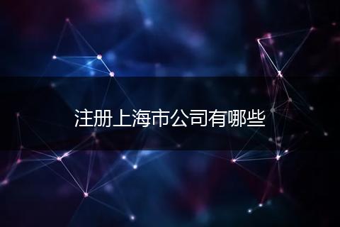 注册上海市公司有哪些