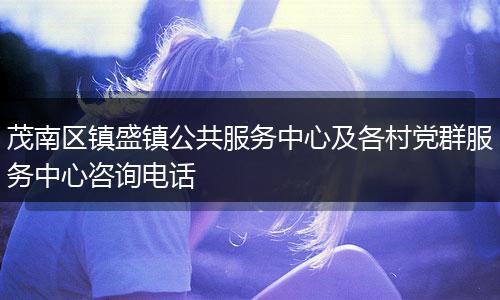 茂南区镇盛镇公共服务中心及各村党群服务中心咨询电话