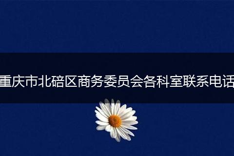 重庆市北碚区商务委员会各科室联系电话