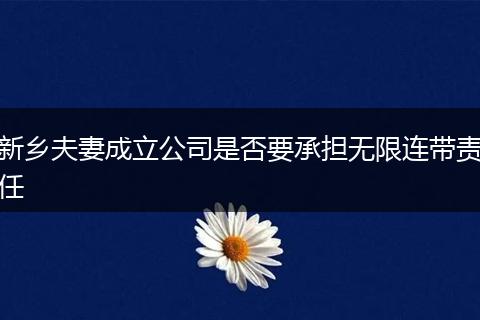 新乡夫妻成立公司是否要承担无限连带责任