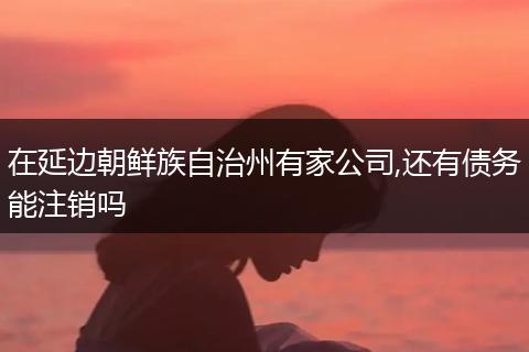 在延边朝鲜族自治州有家公司,还有债务能注销吗