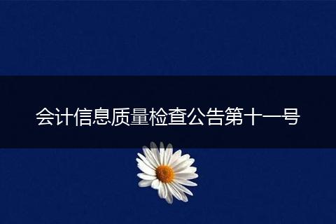 会计信息质量检查公告第十一号