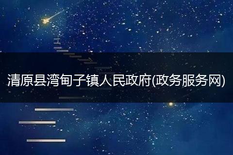 清原县湾甸子镇人民政府(政务服务网)