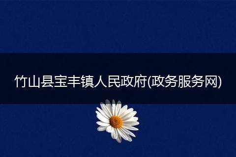 竹山县宝丰镇人民政府(政务服务网)