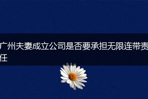 广州夫妻成立公司是否要承担无限连带责任