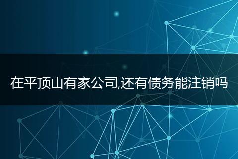 在平顶山有家公司,还有债务能注销吗