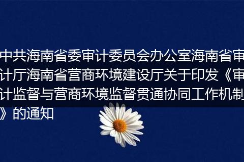 中共海南省委审计委员会办公室海南省审计厅海南省营商环境建设厅关于印发《审计监督与营商环境监督贯通协同工作机制》的通知