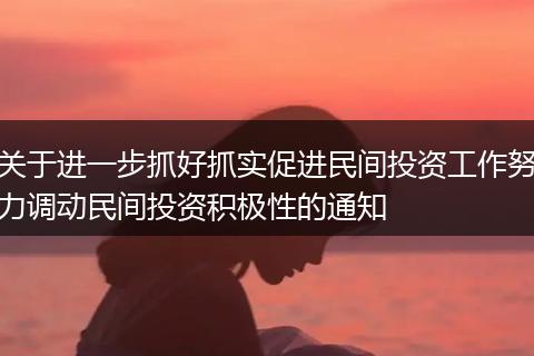 关于进一步抓好抓实促进民间投资工作努力调动民间投资积极性的通知