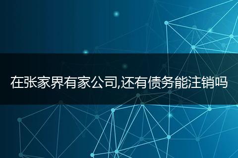 在张家界有家公司,还有债务能注销吗