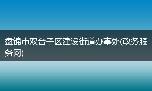盘锦市双台子区建设街道办事处(政务服务网)