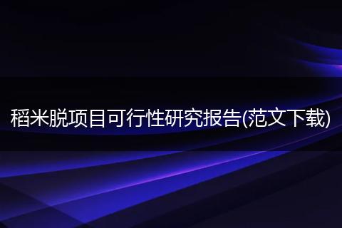 稻米脱项目可行性研究报告(范文下载)