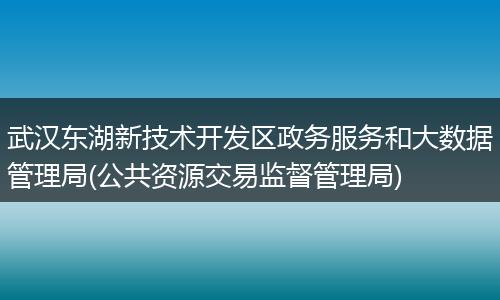 武汉东湖新技术开发区政务服务和大数据管理局(公共资源交易监督管理局)