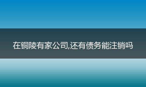 在铜陵有家公司,还有债务能注销吗