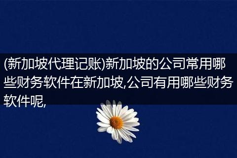 (新加坡代理记账)新加坡的公司常用哪些财务软件在新加坡,公司有用哪些财务软件呢,