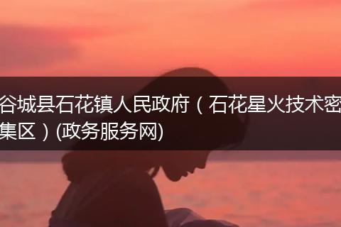 谷城县石花镇人民政府(石花星火技术密集区)(政务服务网)