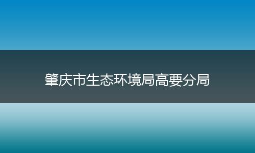 肇庆市生态环境局高要分局