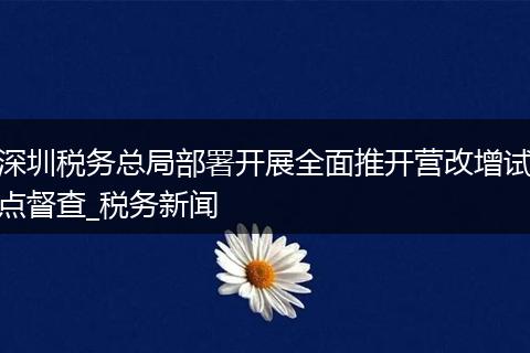 深圳税务总局部署开展全面推开营改增试点督查_税务新闻