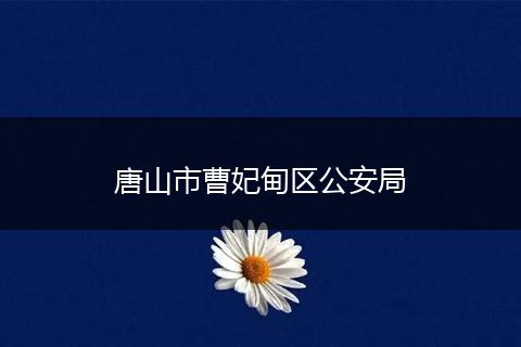 唐山市曹妃甸区公安局