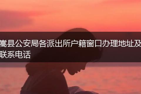 嵩县公安局各派出所户籍窗口办理地址及联系电话