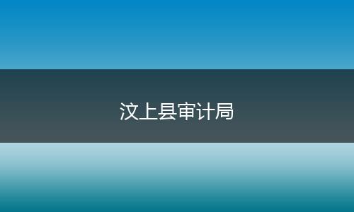 汶上县审计局