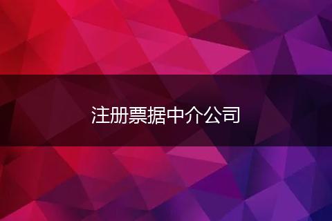 注册票据中介公司