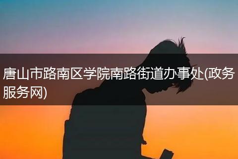 唐山市路南区学院南路街道办事处(政务服务网)