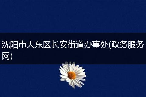 沈阳市大东区长安街道办事处(政务服务网)