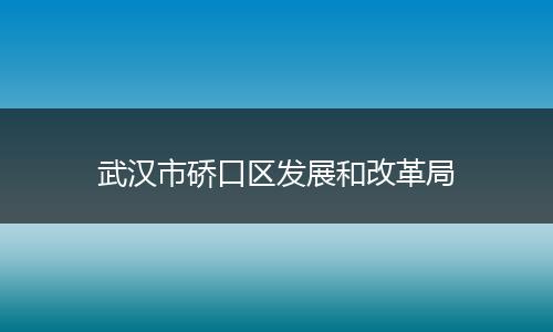 武汉市硚口区发展和改革局
