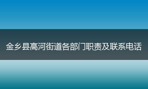 金乡县高河街道各部门职责及联系电话