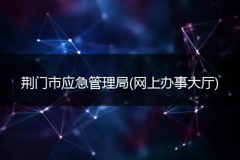 荆门市应急管理局(网上办事大厅)