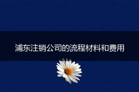 浦东注销公司的流程材料和费用