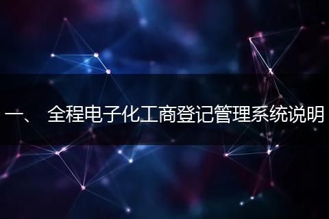 一、 全程电子化工商登记管理系统说明